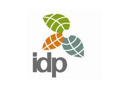 IDP上市計(jì)劃推遲，擬于2015年下半年IPO